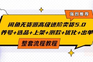 閑魚無貨源高級進階賣貨5.0，養號 選品 上架 測款 優化 出單整套流程教程