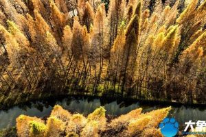 洛陽(yáng)旅游洛陽(yáng)旅游攻略自由行攻略