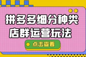 拼多多細(xì)分種類店群運(yùn)營玩法3.0，11月最新玩法，小白也可以操作