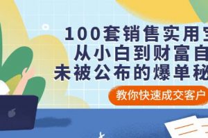 100套銷售實(shí)用寶典：從小白到財(cái)富自由，未被公布的爆單秘密！