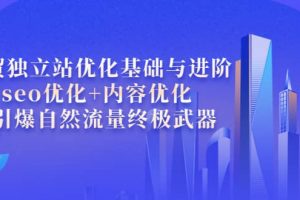 外貿獨立站優化基礎與進階，seo優化 內容優化 引爆自然流量終極武器