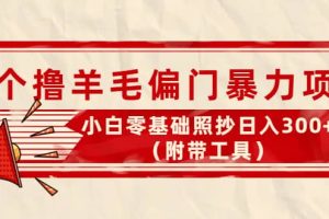 外面賣998的三個擼羊毛項目，小白零基礎(chǔ)照抄（附帶工具）
