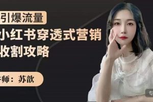 蘇歆：小紅書穿透式營銷收割攻略，引爆流量，助你玩轉小紅書