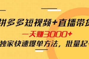 拼多多短視頻 直播帶貨，一天賺3000 獨家快速爆單方法，批量起號