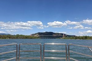 加入公會的主播最傻加入公會的主播最傻的是誰呀