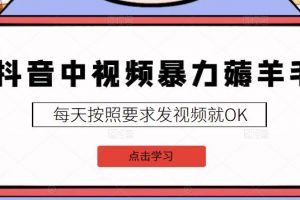 2022抖音中視頻暴力薅羊毛白嫖項目：新號每天20塊，老號幾天幾百塊，可多號