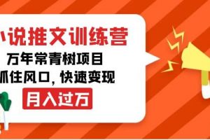 小說推文訓(xùn)練營，萬年常青樹項(xiàng)目，抓住風(fēng)口