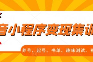 抖音小程序變現(xiàn)集訓課，養(yǎng)號、起號、書單、趣味測試、視頻剪輯，全套流程