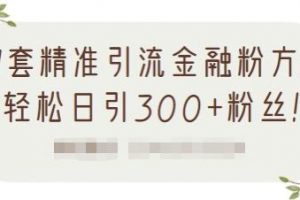 1套精準引流金融粉方法，輕松日引300 粉絲【視頻課程】