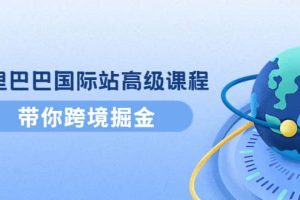 阿里巴巴國際站高級課程：帶你跨境掘金，選品 優化 廣告 推廣