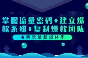 電商流量起爆體系：掌握流量密碼 建立爆款系統 復制爆款團隊（價值599）