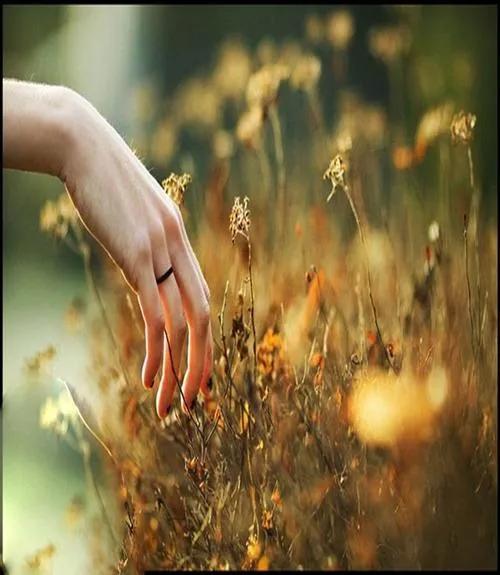 拼多多好評(píng)返現(xiàn)拼多多好評(píng)返現(xiàn)怎么罰罰多少錢(qián)插圖4 拼多多好評(píng)返現(xiàn)拼多多好評(píng)返現(xiàn)怎么罰罰多少錢(qián)插圖4