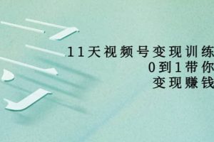 好望角·11天視頻號變現(xiàn)訓練營，從0到1打造變現(xiàn)賺錢系統(tǒng)（價值398）