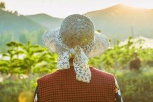 拼多多怎么算新用戶拼多多怎么算新用戶助力成功