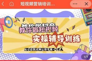 蕊總很忙·短視頻營銷培訓(xùn)實(shí)操課教你快速入門，教你做抖音短視頻