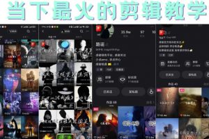短時視頻朦朧詩文案號制作教程，實操7天漲粉20W 小白20分鐘看完直接上手