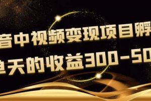 黃島主《抖音中視頻變現項目孵化》單天的收益300-500 操作簡單粗暴