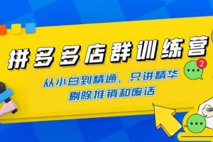 拼多多店群訓練營：從小白到精通，只講精華，剔除推銷和廢話
