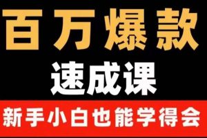 百萬爆款速成課：用數據思維做爆款，小白也能從0-1打造百萬播放視頻