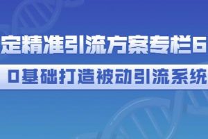 制定精準引流方案專欄6.0，0基礎打造被動引流系統