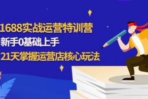 1688實(shí)戰(zhàn)特訓(xùn)營(yíng)：新手0基礎(chǔ)上手，21天掌握運(yùn)營(yíng)店核心玩法