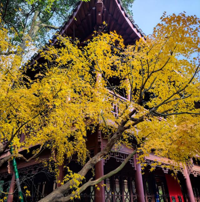 杭州寺廟杭州寺廟有哪些香火比較旺的插圖5 杭州寺廟杭州寺廟有哪些香火比較旺的插圖5