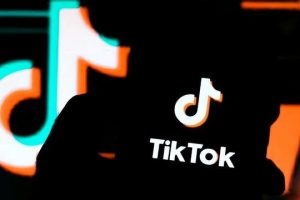 tiktok網(wǎng)頁(yè)入口urlebird