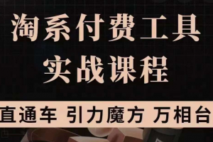 淘系付費(fèi)工具實(shí)戰(zhàn)課程【直通車、引力魔方】戰(zhàn)略優(yōu)化，實(shí)操演練（價(jià)值1299）