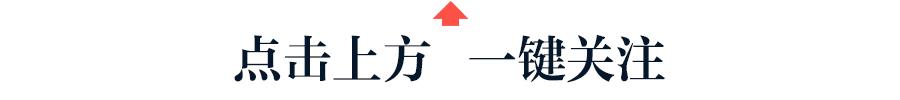 旅行團旅行團樂隊成員介紹插圖 旅行團旅行團樂隊成員介紹插圖