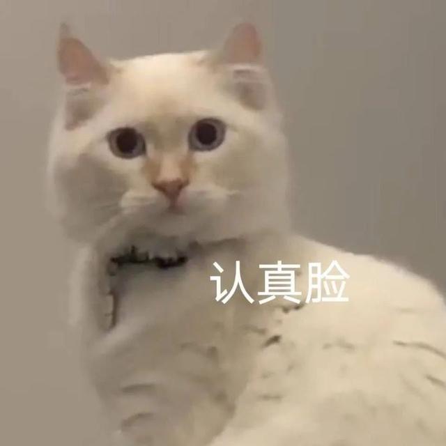 微信人工投票20元1000票插圖1 微信人工投票20元1000票插圖1