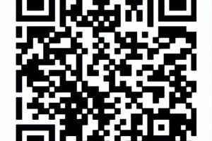 投票人工團隊網上人工投票