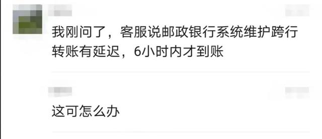 微信人工投票20元1000票插圖4 微信人工投票20元1000票插圖4