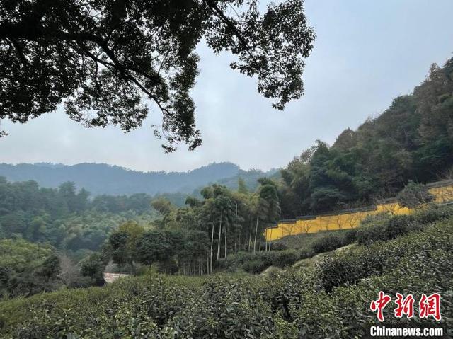 杭州寺廟杭州寺廟有哪些求福插圖2