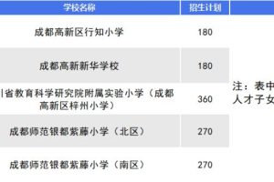 成都高新區(qū)小學排名前十名成都高新區(qū)小學排名前十名有哪些初中