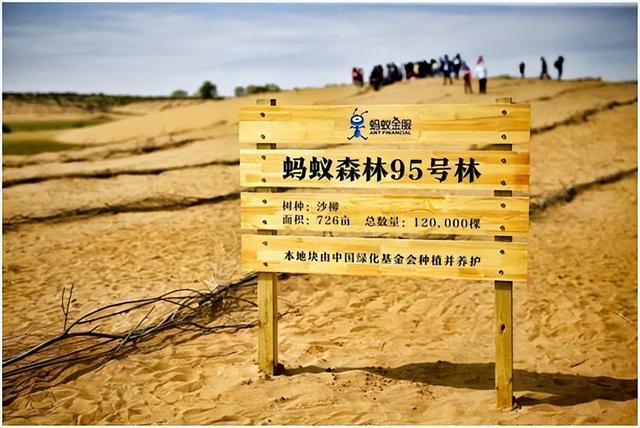 螞蟻森林暴露消費記錄通過螞蟻森林看消費記錄插圖 螞蟻森林暴露消費記錄通過螞蟻森林看消費記錄插圖