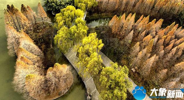 洛陽(yáng)旅游洛陽(yáng)旅游攻略自由行攻略插圖3 洛陽(yáng)旅游洛陽(yáng)旅游攻略自由行攻略插圖3