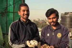 煙頭回收煙頭回收多少錢一斤是抽過的煙頭嗎