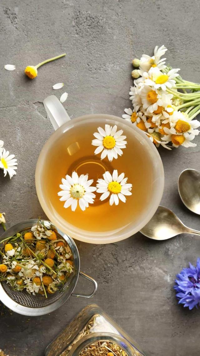 女生的小雛菊長(zhǎng)什么樣雛菊花長(zhǎng)什么樣子插圖 女生的小雛菊長(zhǎng)什么樣雛菊花長(zhǎng)什么樣子插圖
