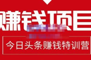 懶人領域·今日頭條項目玩法，頭條中視頻項目，單號收益在50—500可批量