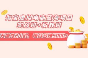 淘寶虛擬電商藍海項目實戰班 私教班