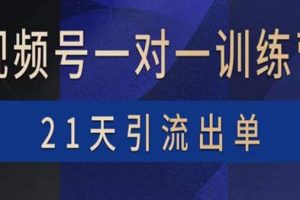 視頻號訓練營：帶貨，漲粉，直播，游戲，四大變現(xiàn)新方向，21天引流出單