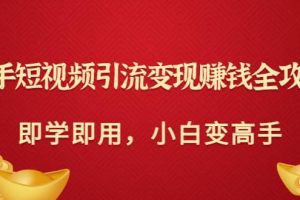 快手短視頻引流變現賺錢全攻略：即學即用，小白變高手（價值980元）