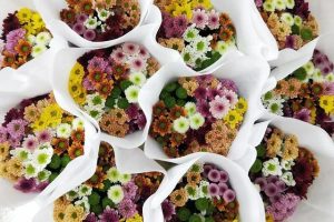 女生的小雛菊長(zhǎng)什么樣女生的小雛菊長(zhǎng)什么樣(不是花)照片