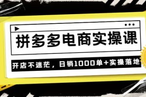 不滅《拼多多電商實操課》開店不迷茫，日銷1000單 實操落地（價值299元）