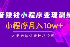 抖音小程序變現(xiàn)訓(xùn)練營：小程序各類玩法運(yùn)營技巧變現(xiàn)