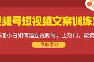 視頻號短視頻文案訓(xùn)練營：0基礎(chǔ)小白如何建立視頻號，上熱門，能賣貨！