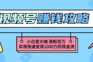 玩轉微信視頻號賺錢：小白變大咖漲粉百萬實現快速變現1000萬的現金流