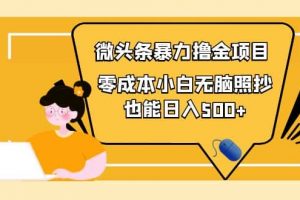 人人都能操作的微頭條最新暴力擼金項(xiàng)目，零成本小白無腦搬運(yùn)