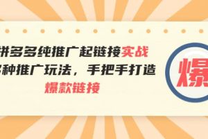 拼多多純推廣起鏈接實(shí)戰(zhàn)：多種推廣玩法，手把手打造爆款鏈接
