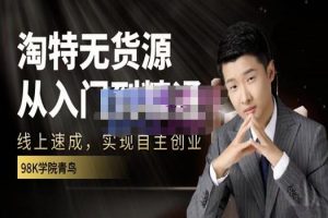 98k學院的淘特無貨源線上速成課，從入門到精通，讓你最小投入，最高回報